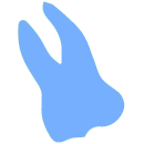 zahn02